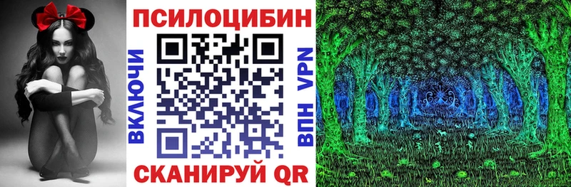 купить  цена  Краснообск  Галлюциногенные грибы Psilocybe 